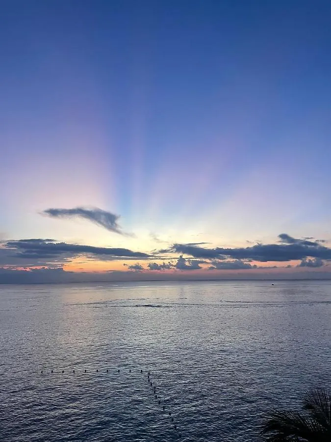 Grand Cozumel Hotel & Diving