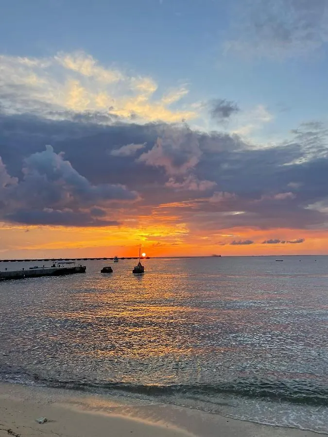 Grand Cozumel Hotel & Diving 2*,
